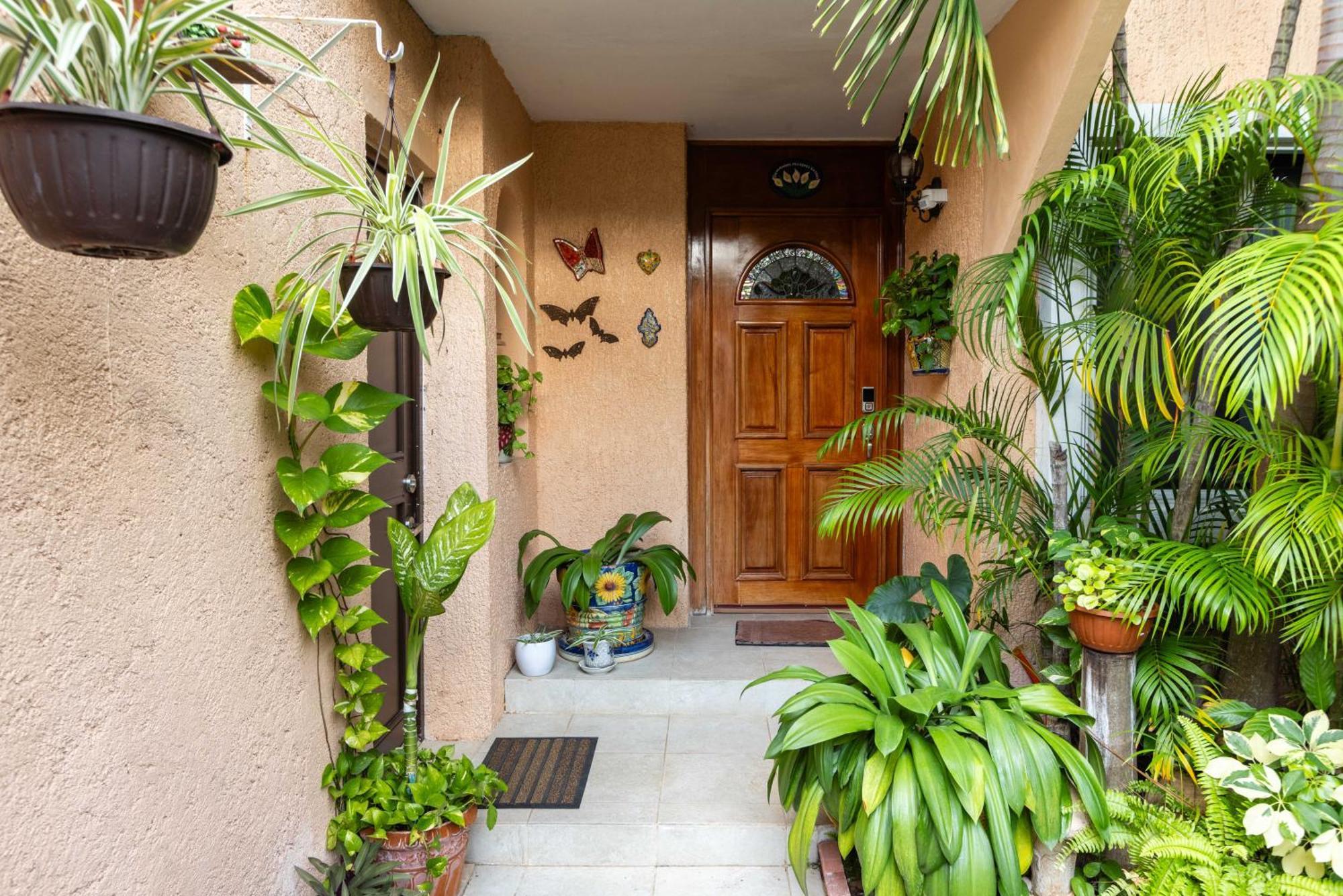 Magnifica Villa Palmeras Pok Ta Pok Zona Hotelera Cancun Cancún Exterior foto