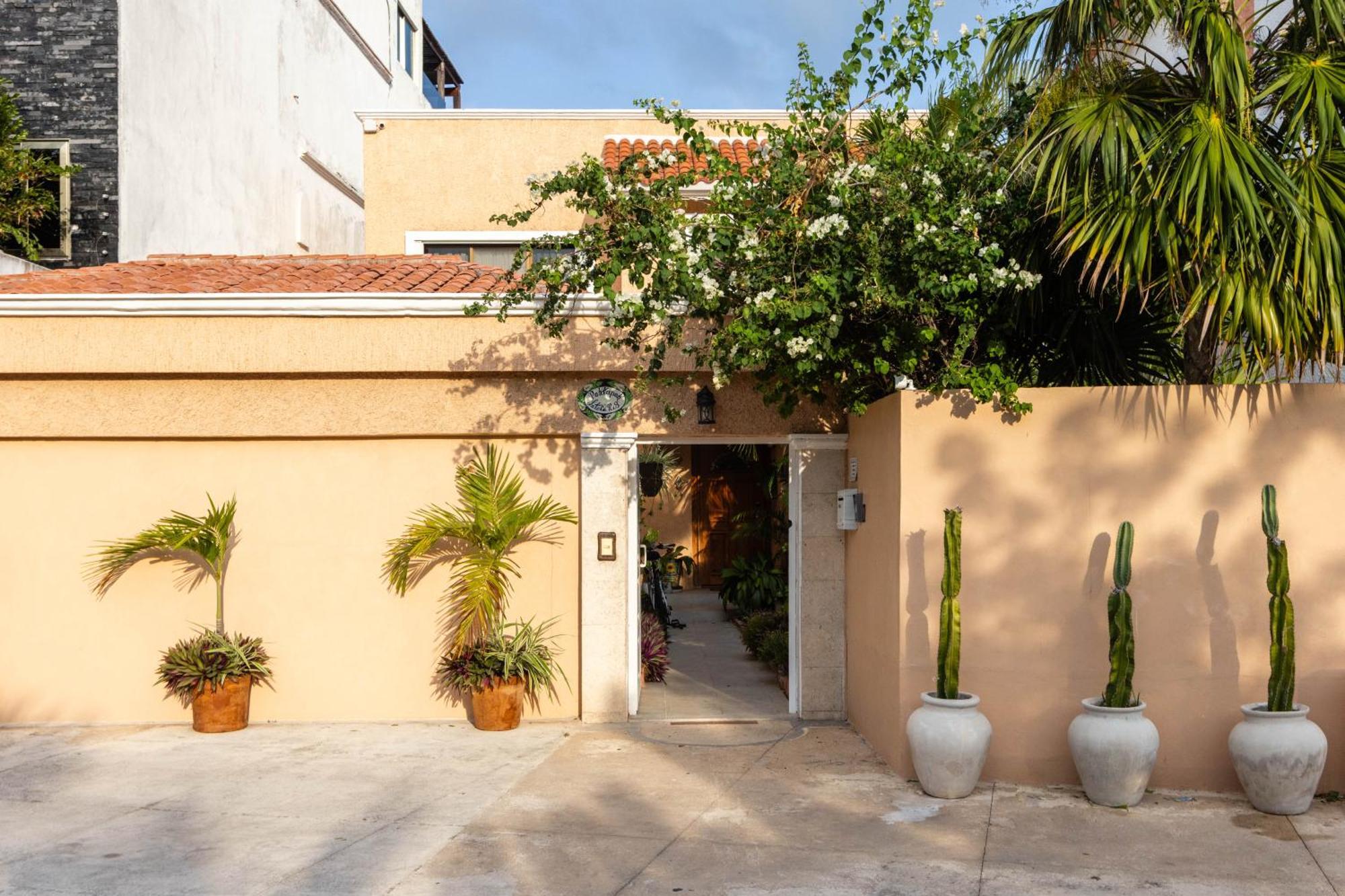 Magnifica Villa Palmeras Pok Ta Pok Zona Hotelera Cancun Cancún Exterior foto